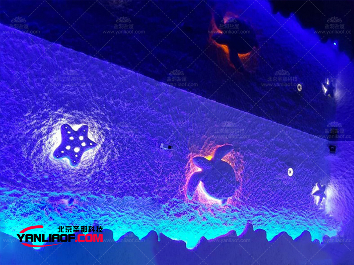 仿真洞穴盐疗 仿真洞穴盐疗