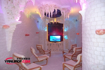 江苏仿真山洞盐疗酒店一个充满创意和潜力的形式